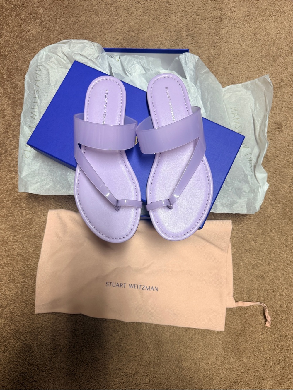 Stuart Weitzman Remy Toe Strap Sandal in Ice Lilac